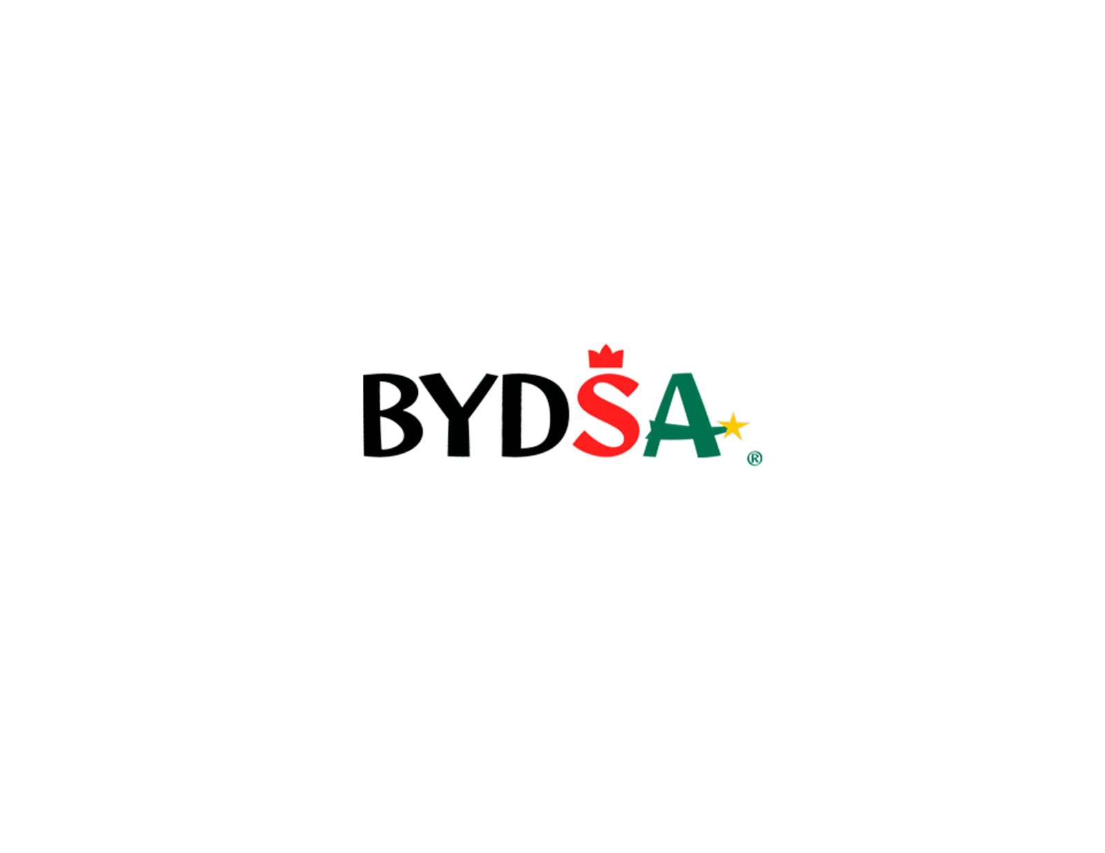 bydsa2021